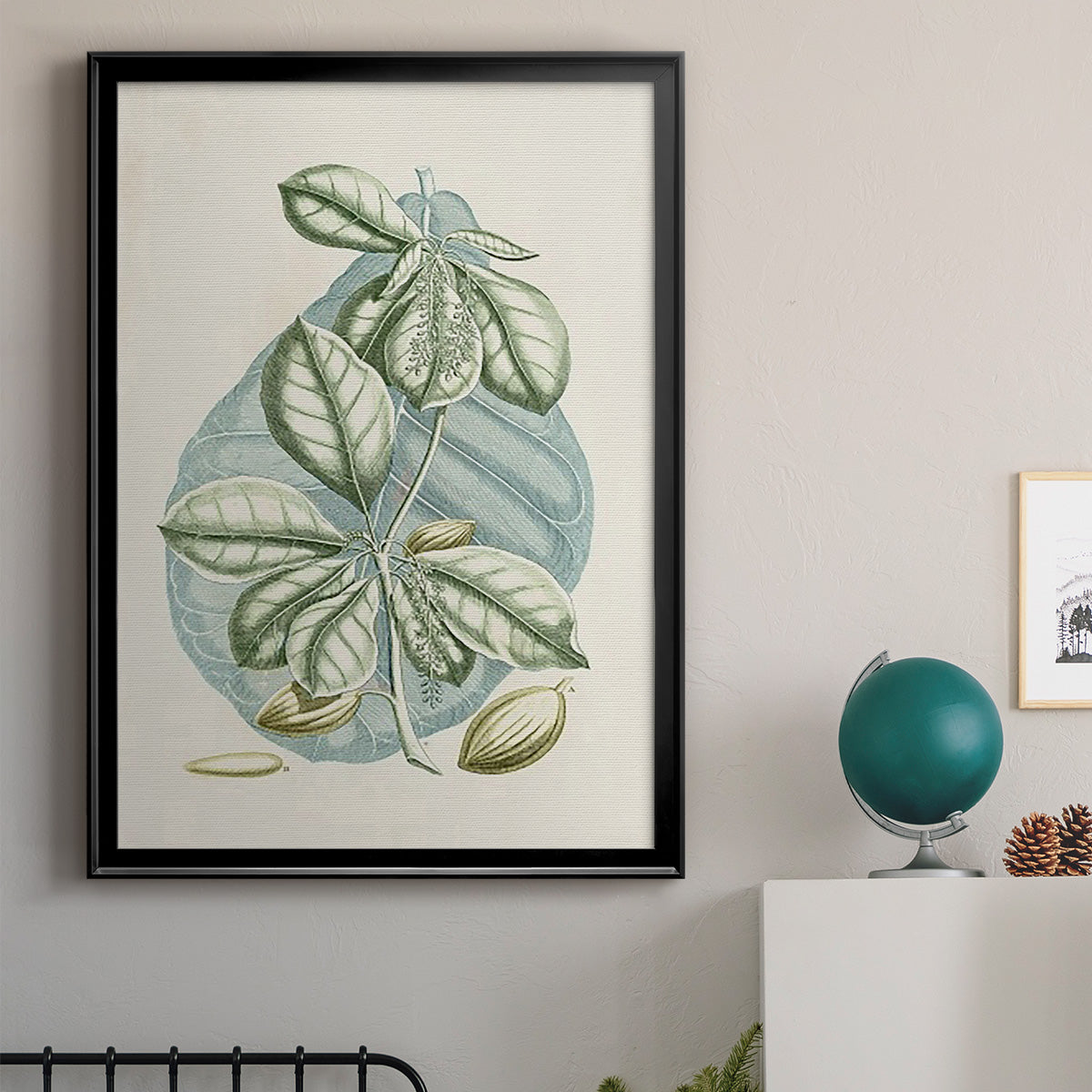 Buchoz Tropicals VI - Modern Framed Canvas Print