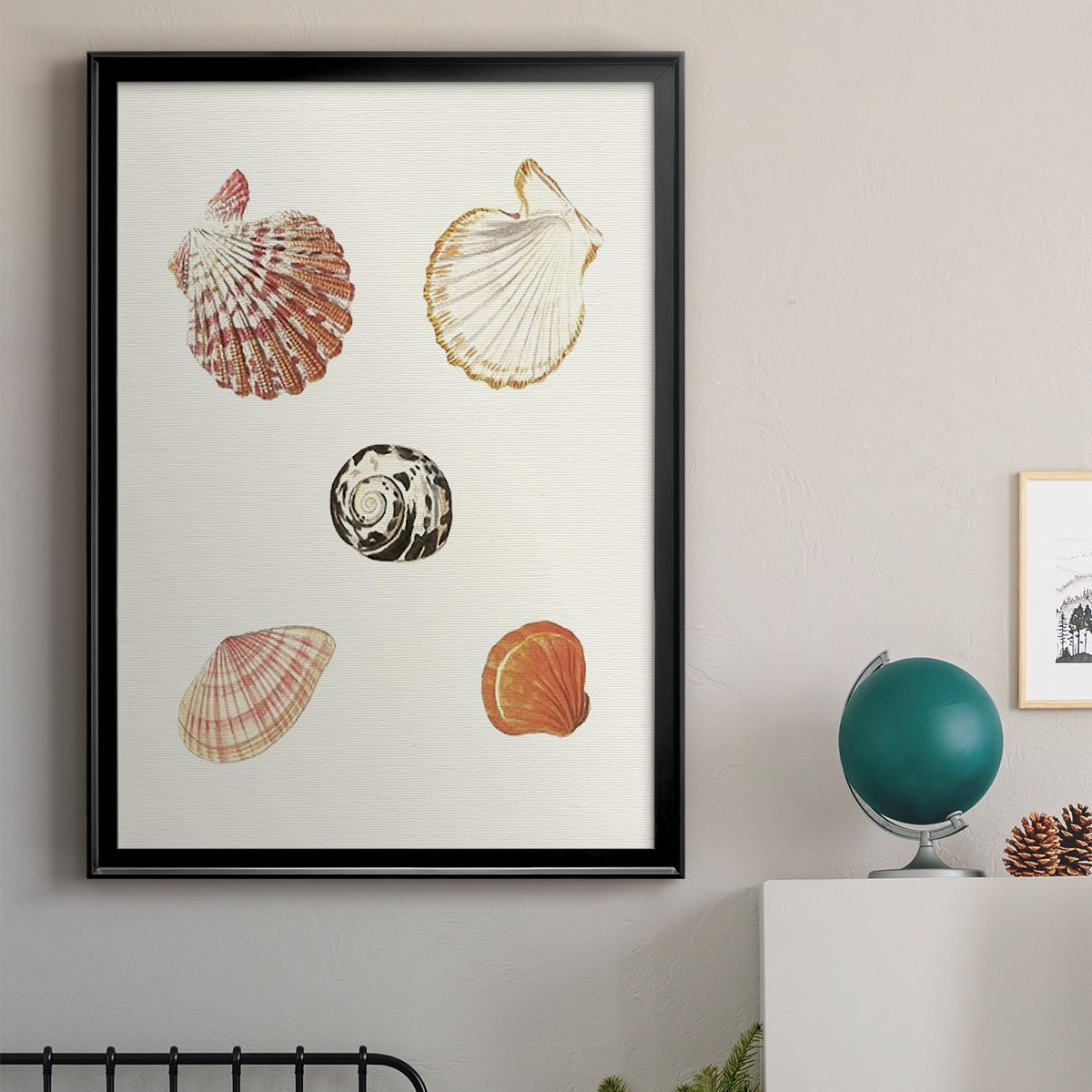 Pastel Knorr Shells VIII - Modern Framed Canvas Print