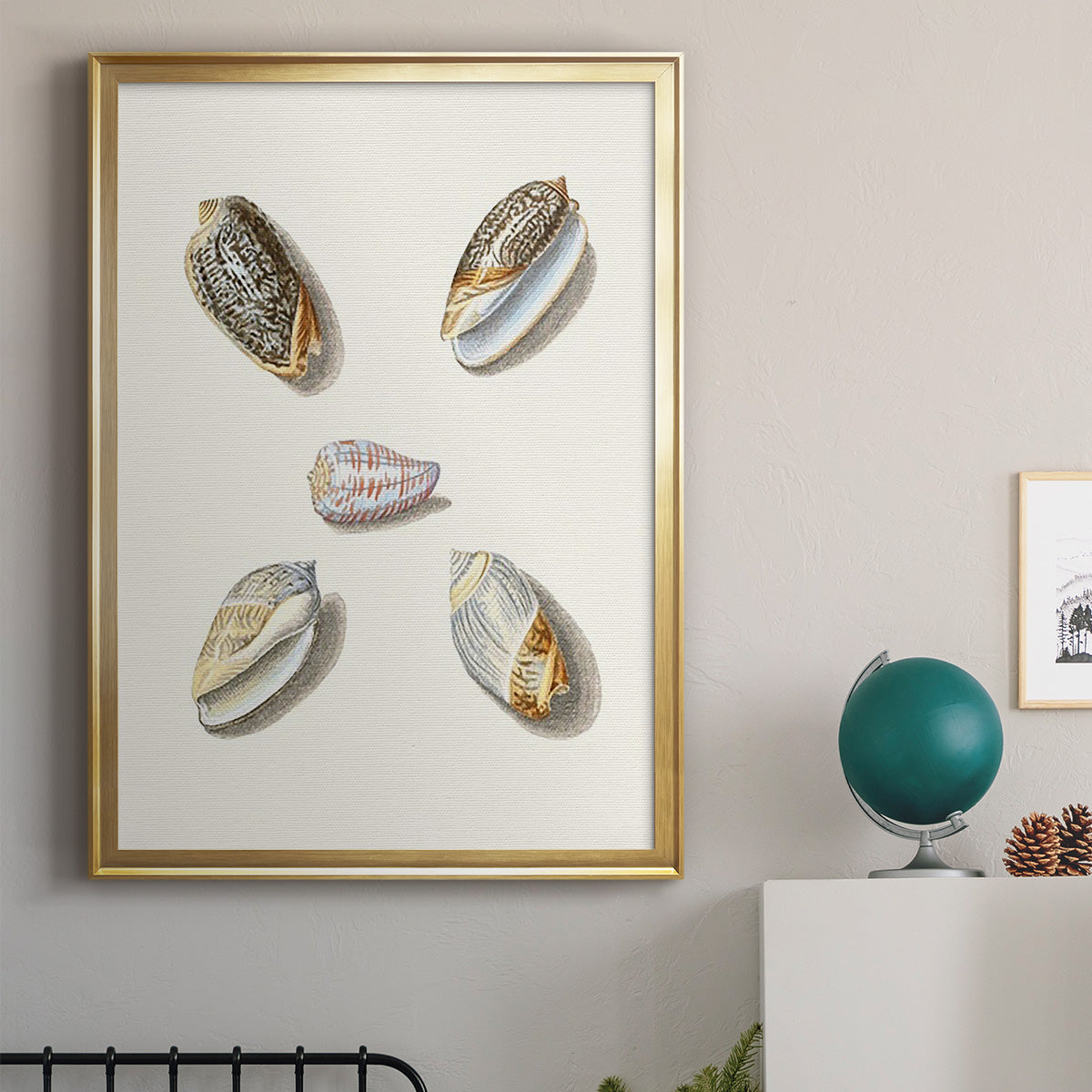 Pastel Knorr Shells III - Modern Framed Canvas Print