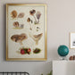 Mushroom Species III - Modern Framed Canvas Print