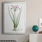 Rose Botanical II - Modern Framed Canvas Print