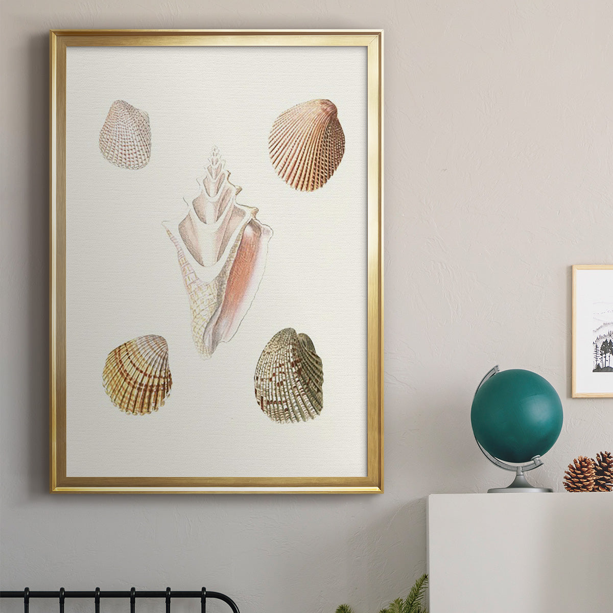 Pastel Knorr Shells IX - Modern Framed Canvas Print