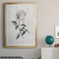 Vintage Botanical I - Modern Framed Canvas Print