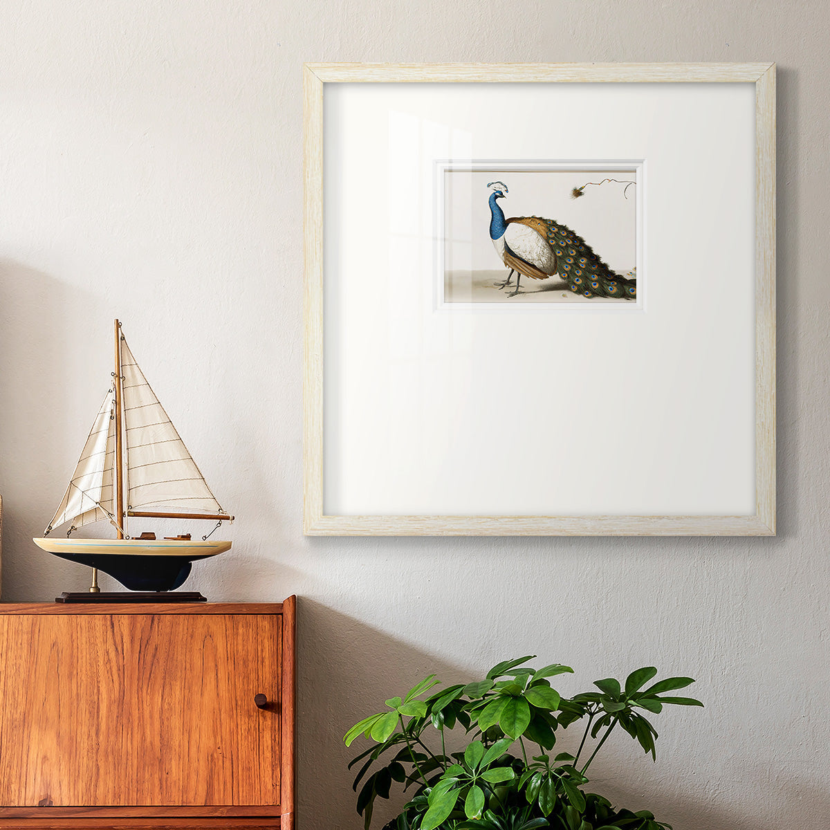 Standing Peacock Premium Framed Print Double Matboard