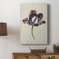 Antique Tulip Study I Premium Gallery Wrapped Canvas - Ready to Hang