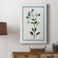 Shabby Chic Botanical II - Canvas Art Print