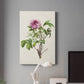 Pretty Pink Botanicals V Premium Gallery Wrapped Canvas - Ready to Hang