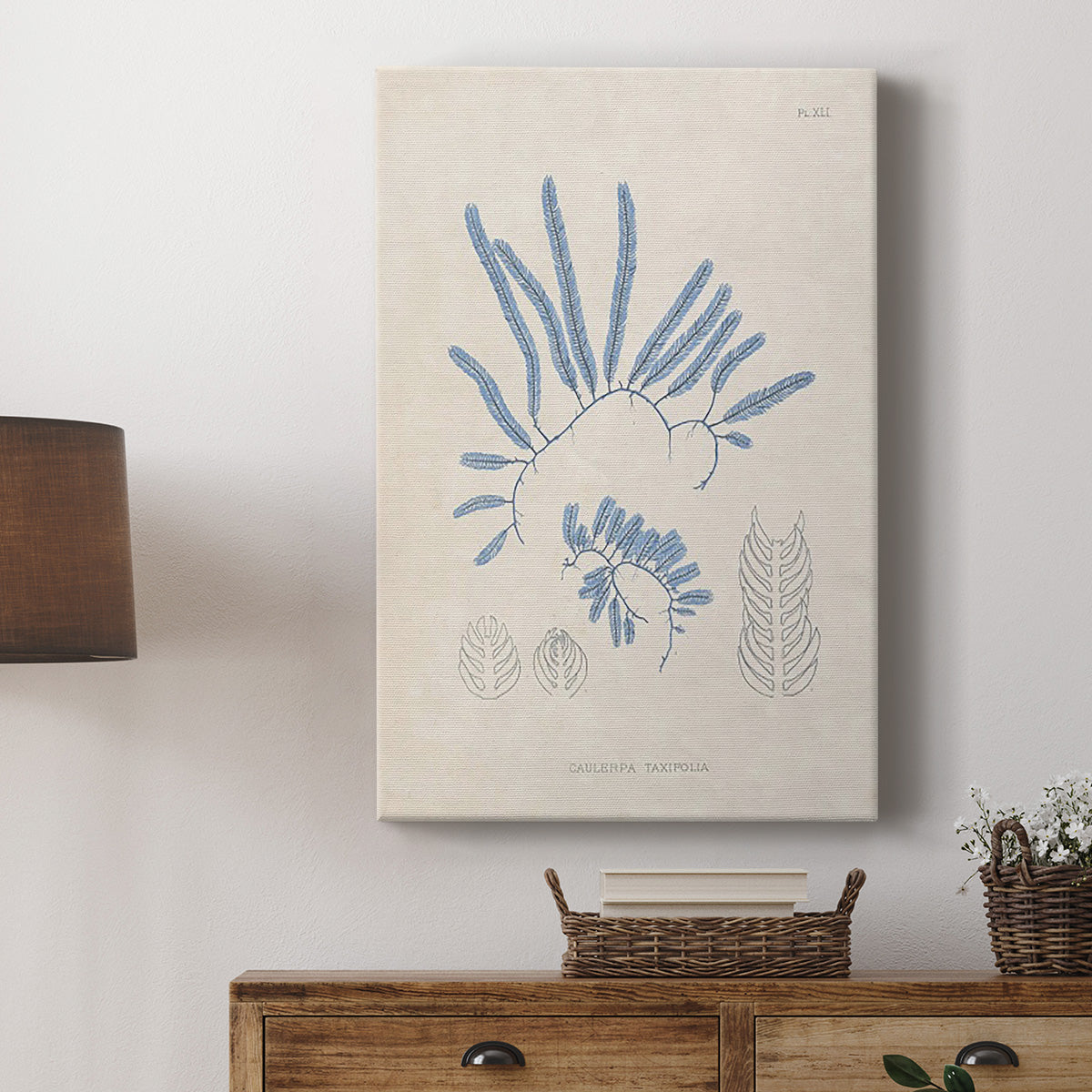 Blue Marine Algae II Premium Gallery Wrapped Canvas - Ready to Hang