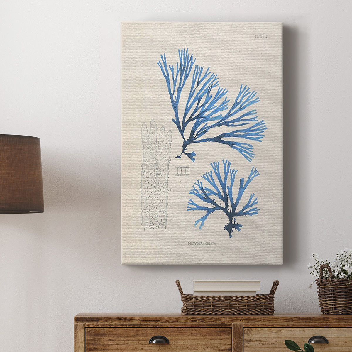 Blue Marine Algae V - Canvas Art Print