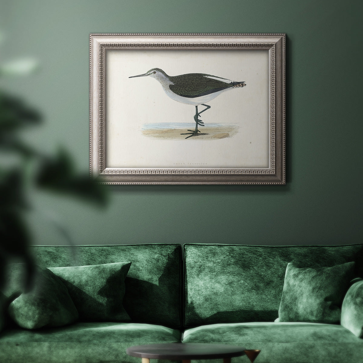 Morris Sandpipers VI Premium Framed Canvas- Ready to Hang