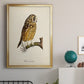 French Owls II - Modern Framed Canvas Print