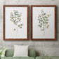 Eucalyptus I   - Premium Framed Canvas 2 Piece Set - Ready to Hang