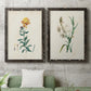 Traditional Botanical III - Premium Framed Canvas 2 Piece Set - Ready to Hang