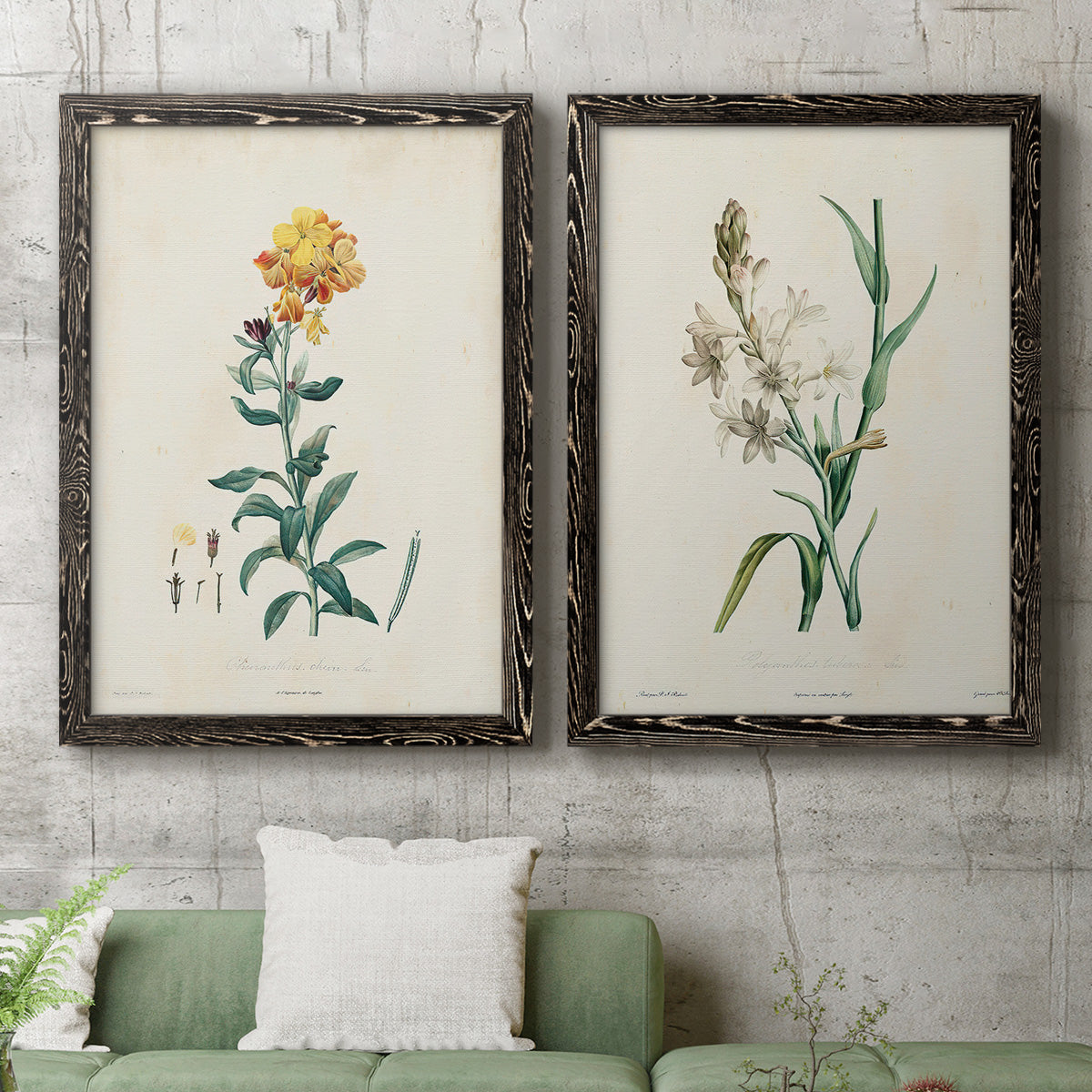 Traditional Botanical III - Premium Framed Canvas 2 Piece Set - Ready to Hang