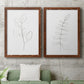 Botanical Gesture III - Premium Framed Canvas 2 Piece Set - Ready to Hang