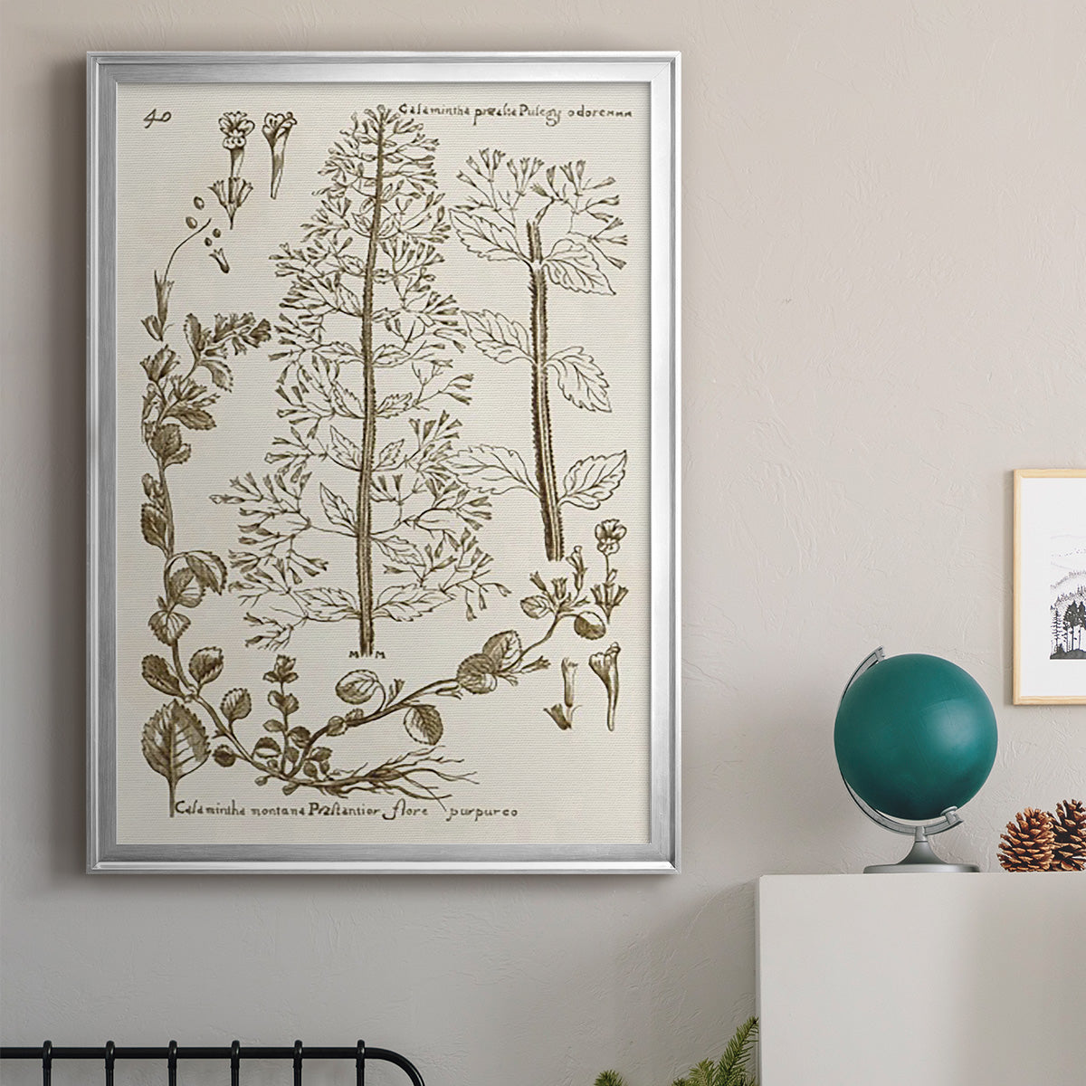 Sepia Botanical Journal V - Modern Framed Canvas Print