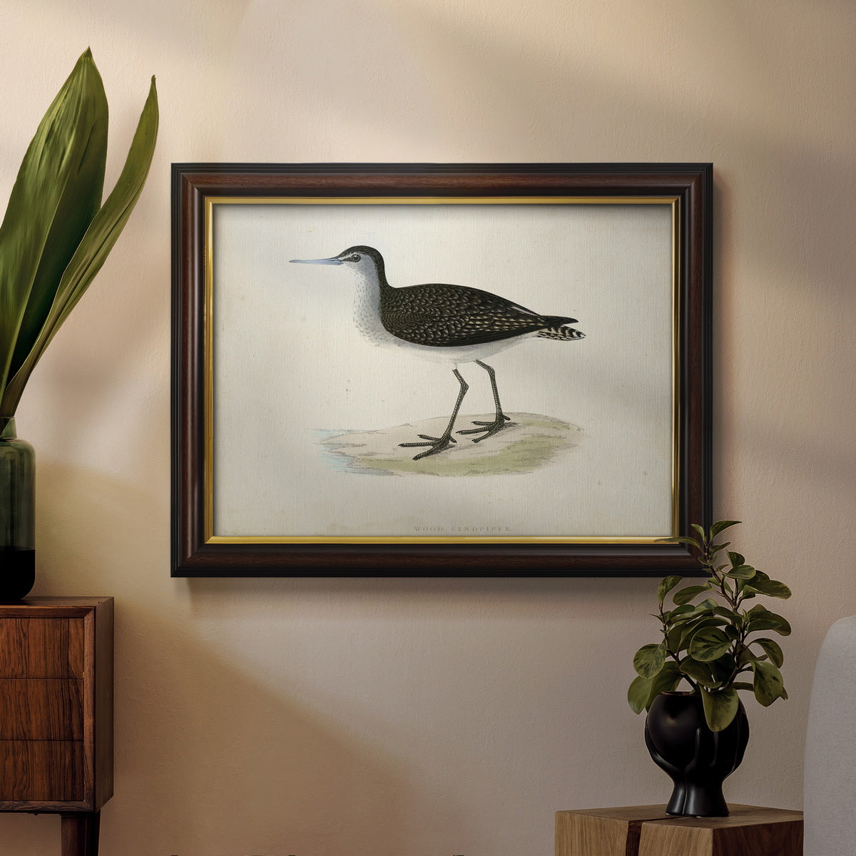 Morris Sandpipers VIII Premium Framed Canvas- Ready to Hang