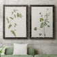 Wispy Botanical I - Premium Framed Canvas 2 Piece Set - Ready to Hang