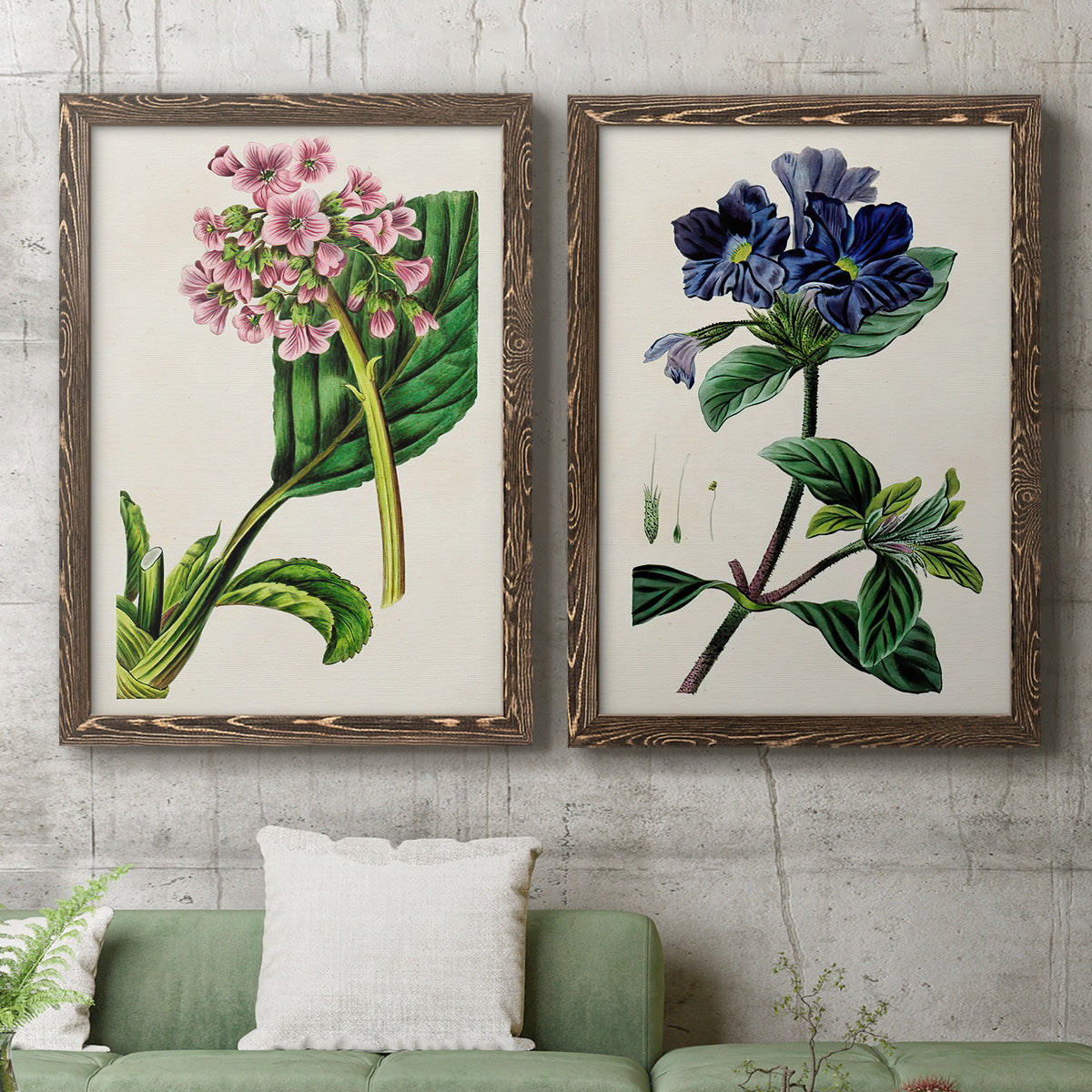 Set of two walnut barnwood framed canvas prints depicting a coordinated art pair of colorful flowering plant specimens rendered as antique botanical plate illustrations above a sofa in a modern living room.