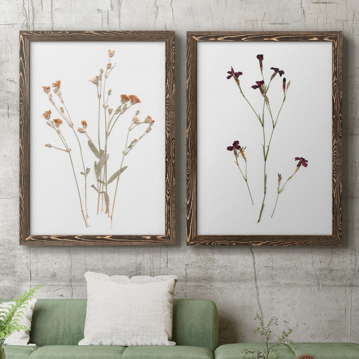 Pressed Botanical I - Premium Framed Canvas 2 Piece Set - Ready to Hang