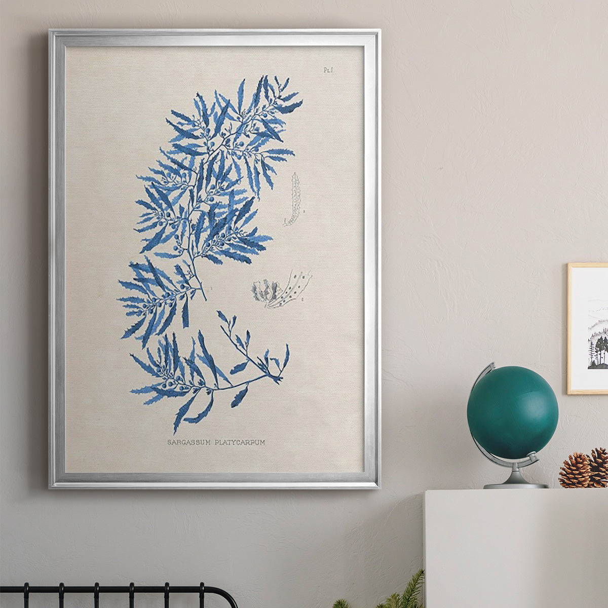 Blue Marine Algae III - Modern Framed Canvas Print