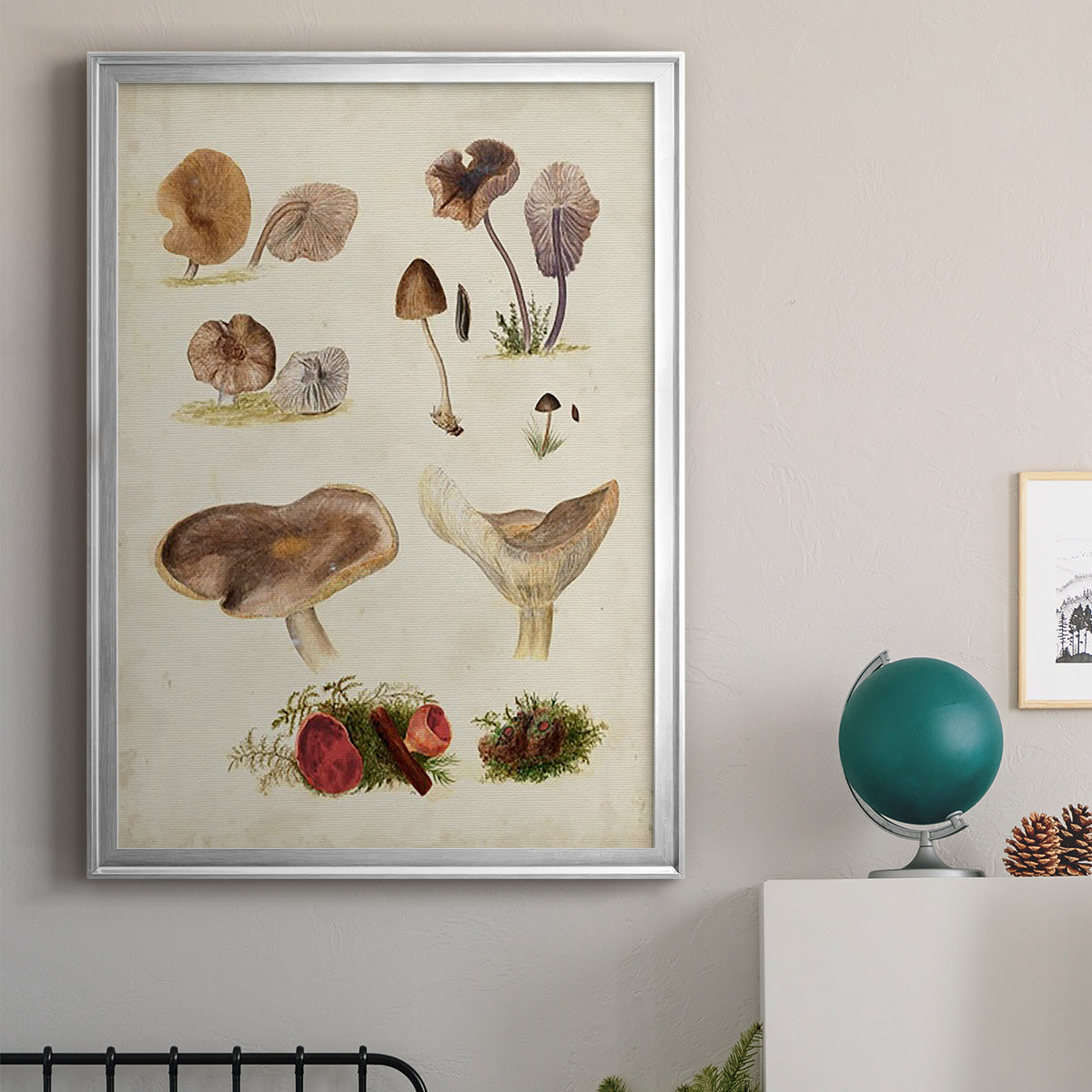Mushroom Species III - Modern Framed Canvas Print