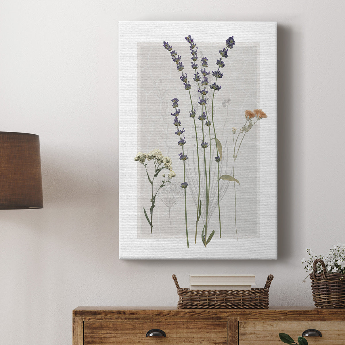 Field Study Page I - Canvas Art Print