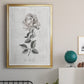 Vintage Botanical II - Modern Framed Canvas Print