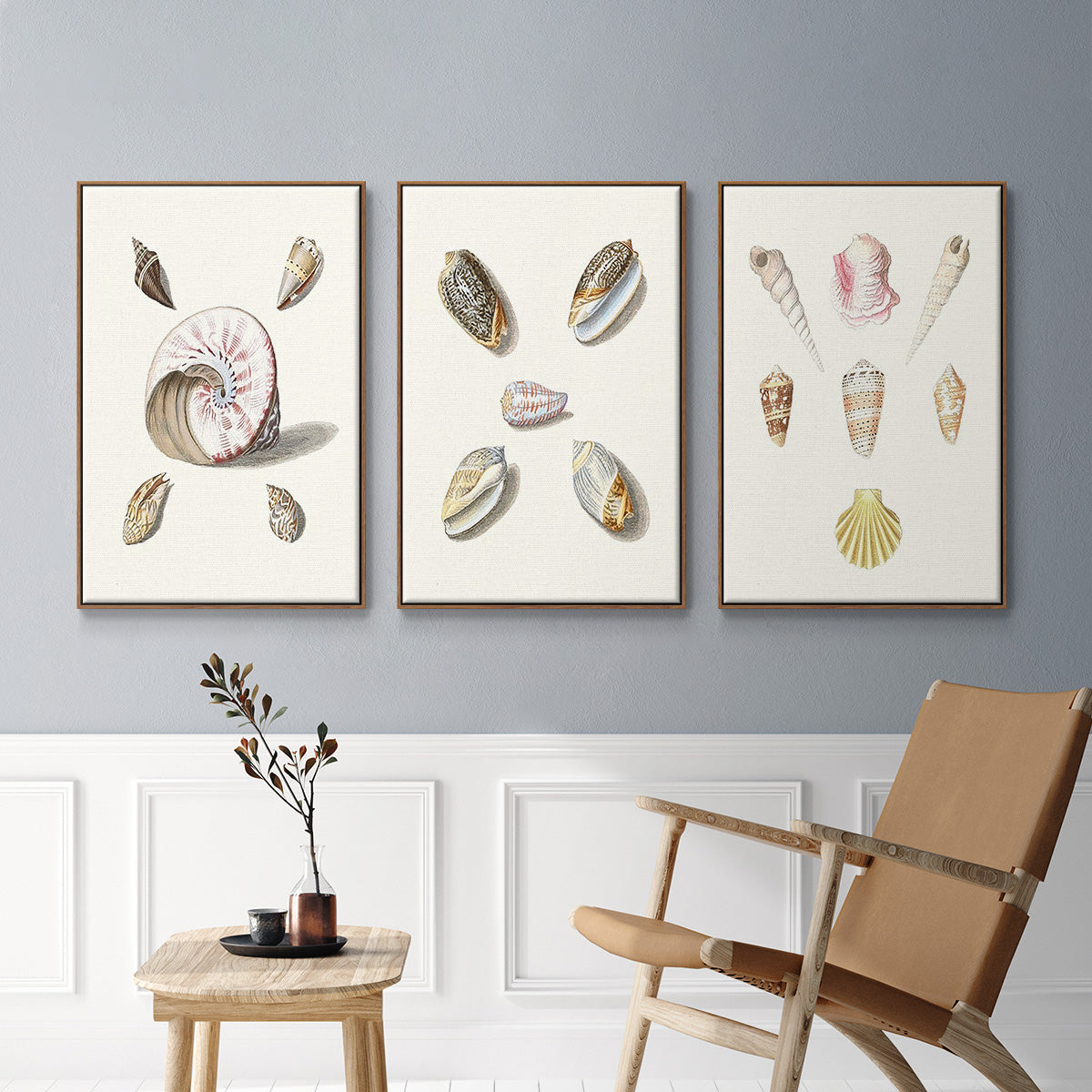 Pastel Knorr Shells I - Framed Premium Gallery Wrapped Canvas L Frame 3 Piece Set - Ready to Hang