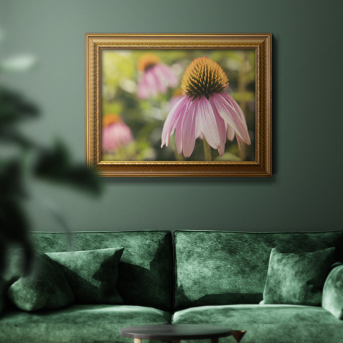 Echinacea Study I Premium Framed Canvas- Ready to Hang