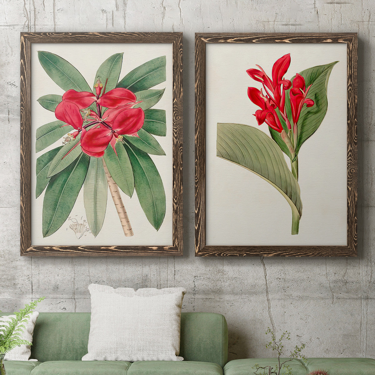 Set of two walnut barnwood framed canvas prints depicting a coordinated art pair of vivid tropical flowering plants rendered as antique botanical plate illustrations above a sofa in a modern living room.