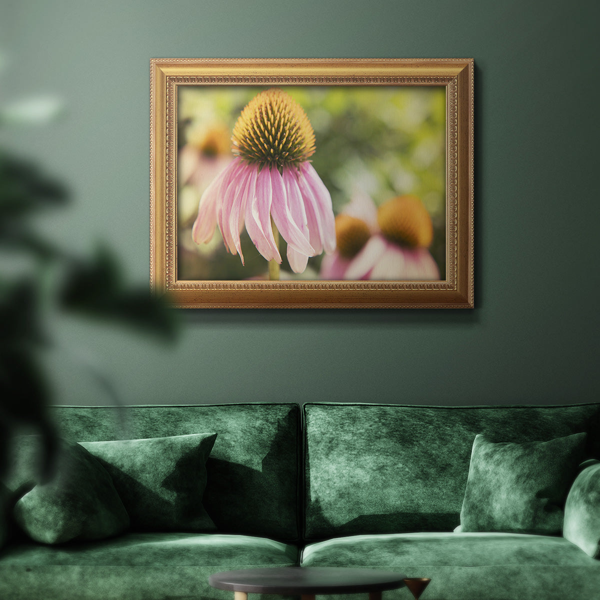 Echinacea Study II Premium Framed Canvas- Ready to Hang