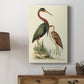 Water Birds III Premium Gallery Wrapped Canvas - Ready to Hang