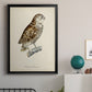 French Owls I - Modern Framed Canvas Print