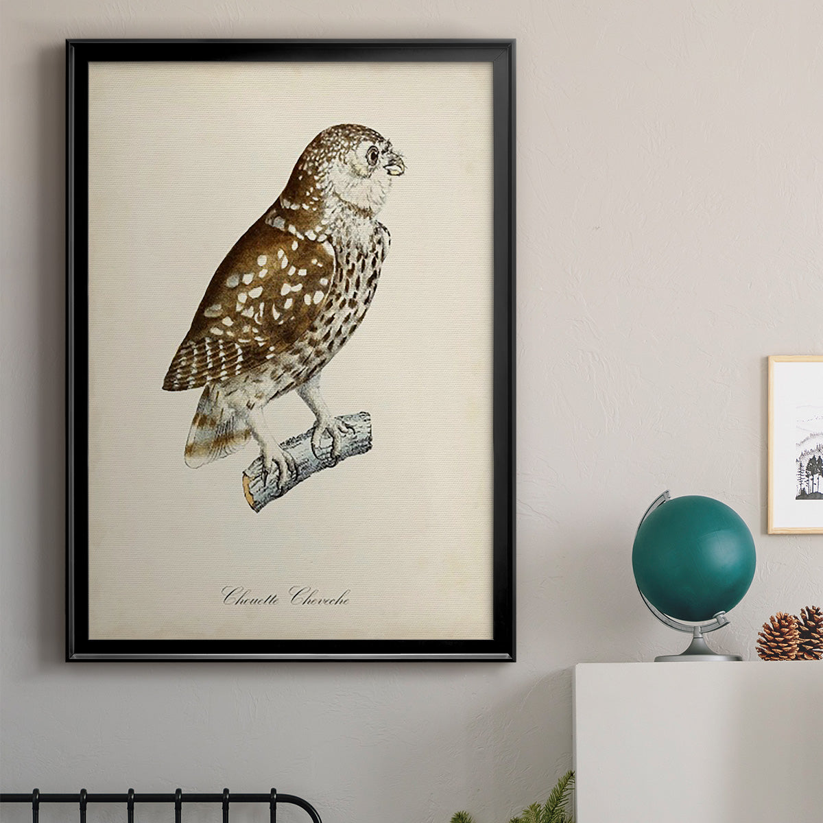 French Owls I - Modern Framed Canvas Print