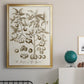 Sepia Botanical Journal II - Modern Framed Canvas Print