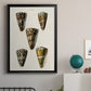 Cone Shell Collection V - Modern Framed Canvas Print