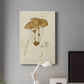 Mushroom Varieties V Premium Gallery Wrapped Canvas - Ready to Hang