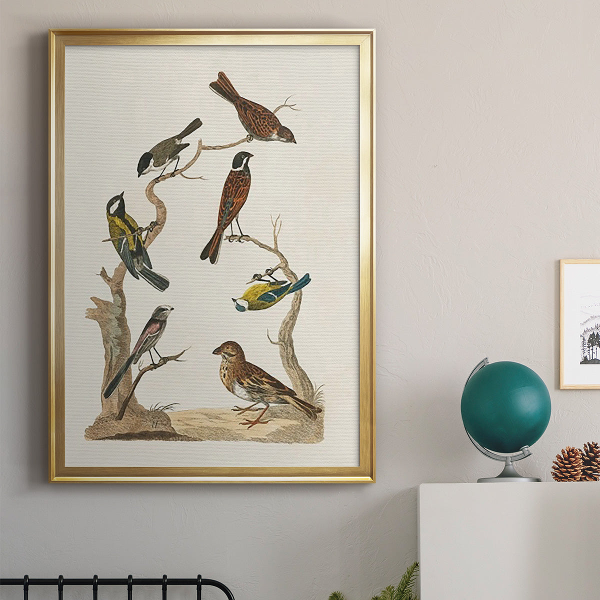 Antique Birds in Nature II - Modern Framed Canvas Print