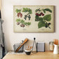 Kitchen Fruits III Premium Gallery Wrapped Canvas - Ready to Hang