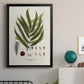 Botanical Society Ferns II - Modern Framed Canvas Print