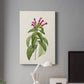 Pretty Pink Botanicals VIII Premium Gallery Wrapped Canvas - Ready to Hang