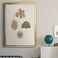 Knorr Shells & Coral VIII - Modern Framed Canvas Print