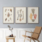 Knorr Shells & Coral IV - Framed Premium Gallery Wrapped Canvas L Frame 3 Piece Set - Ready to Hang