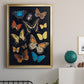 Collected Flutter IV - Modern Framed Canvas Print