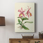 Pink Cattleya Orchid Premium Gallery Wrapped Canvas - Ready to Hang