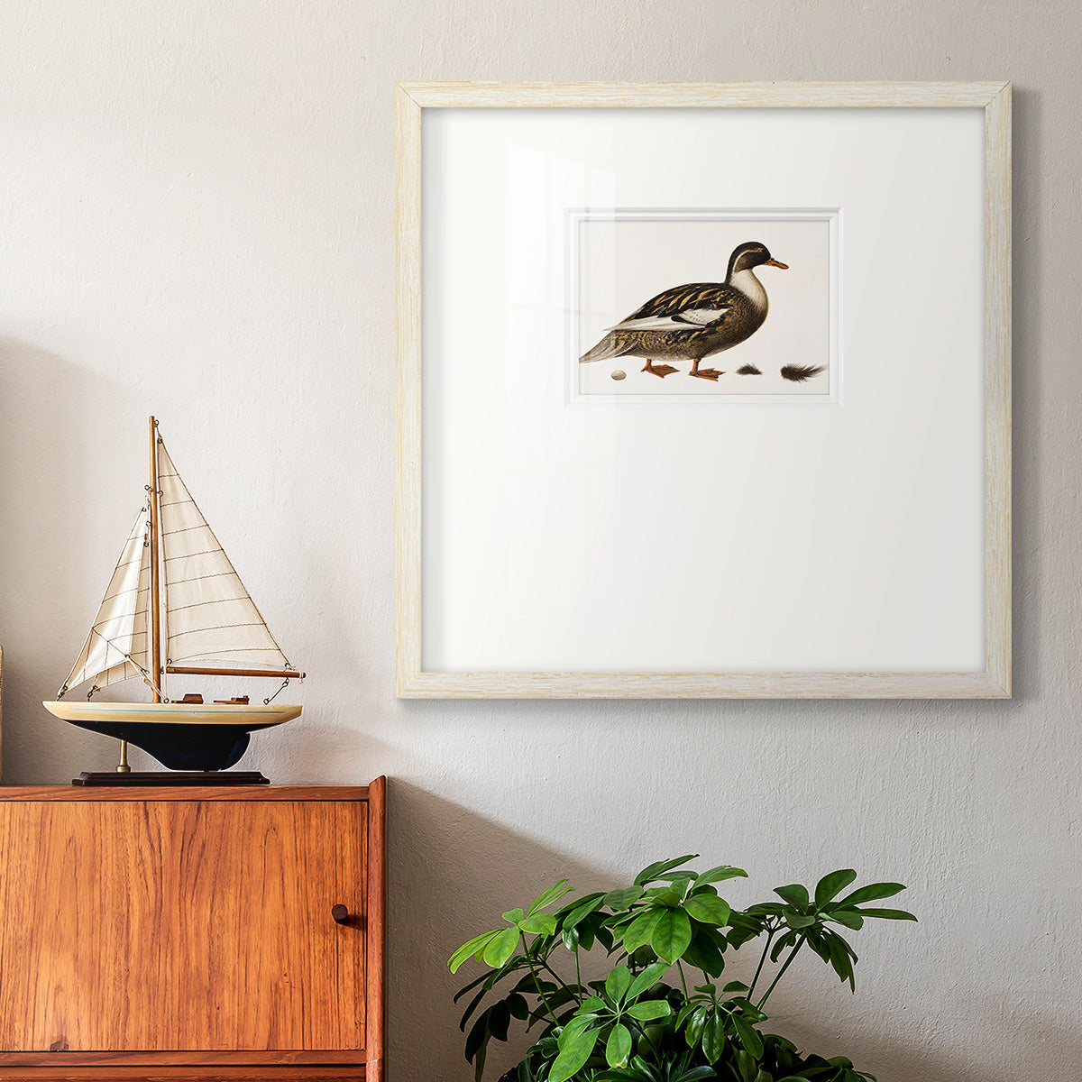 Golden Mallard Premium Framed Print Double Matboard