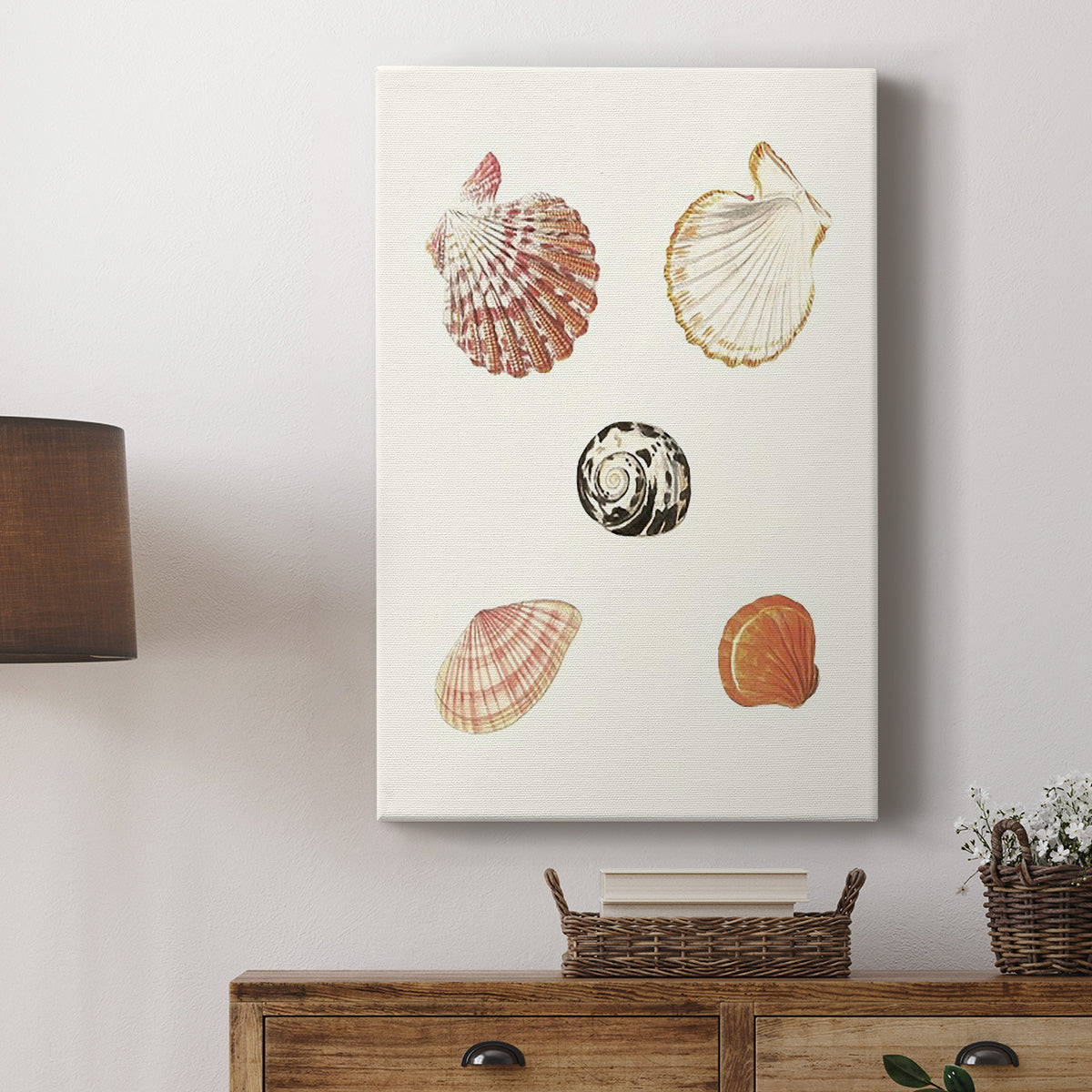 Pastel Knorr Shells VIII - Canvas Art Print