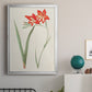 Flowers of the Seasons IV - Modern Framed Canvas Print