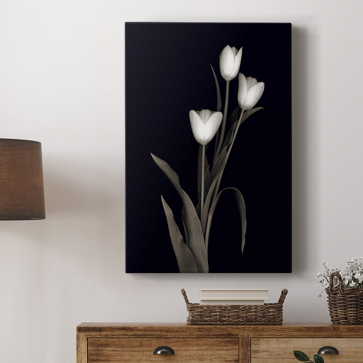 Tulip Pose I - Canvas Art Print